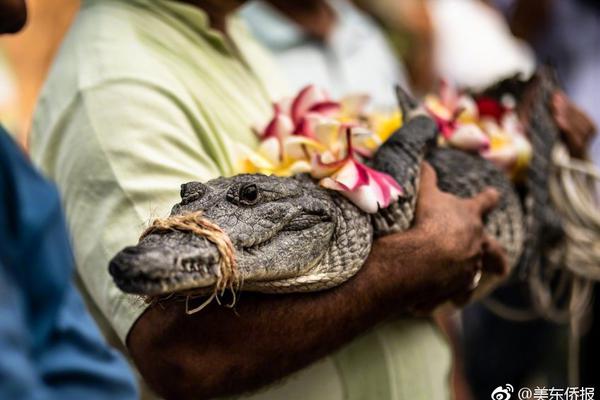 A survey found that 68% of consumers prioritize buying products from eco-friendly brands