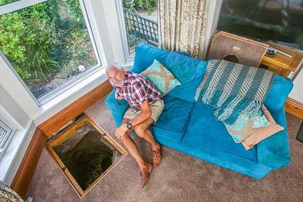 Pet sitting service offers overnight care for exotic pets like snakes and lizards