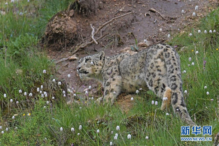 The government increased funding for research into renewable energy sources like wind and solar