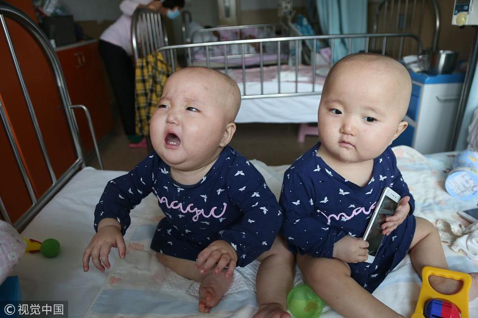 Researchers discovered a new species of frog in the rainforests of Costa Rica