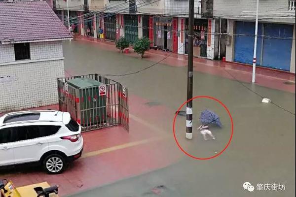 Police used drone technology to locate a missing child in a national park