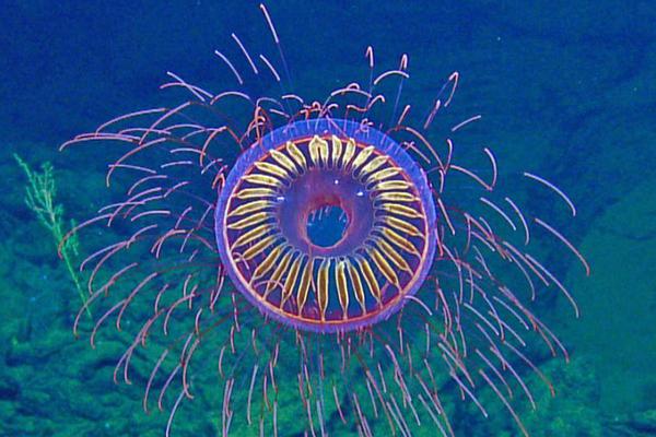 Researchers at a leading university developed a new battery technology that charges 10 times faster than current lithium-ion batteries