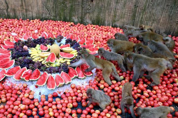 A tech company launched a new smart home system that connects all devices (lights thermostats security cameras) via voice commands