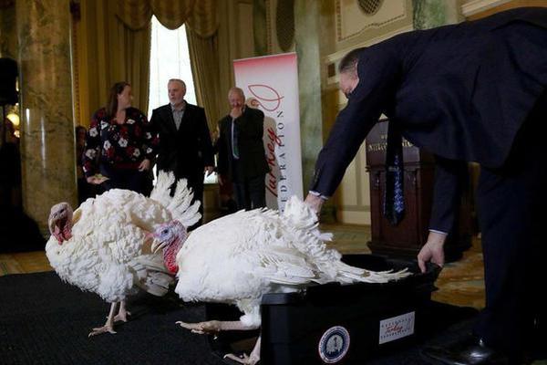 The government announced a new program to support small-scale farmers with subsidies