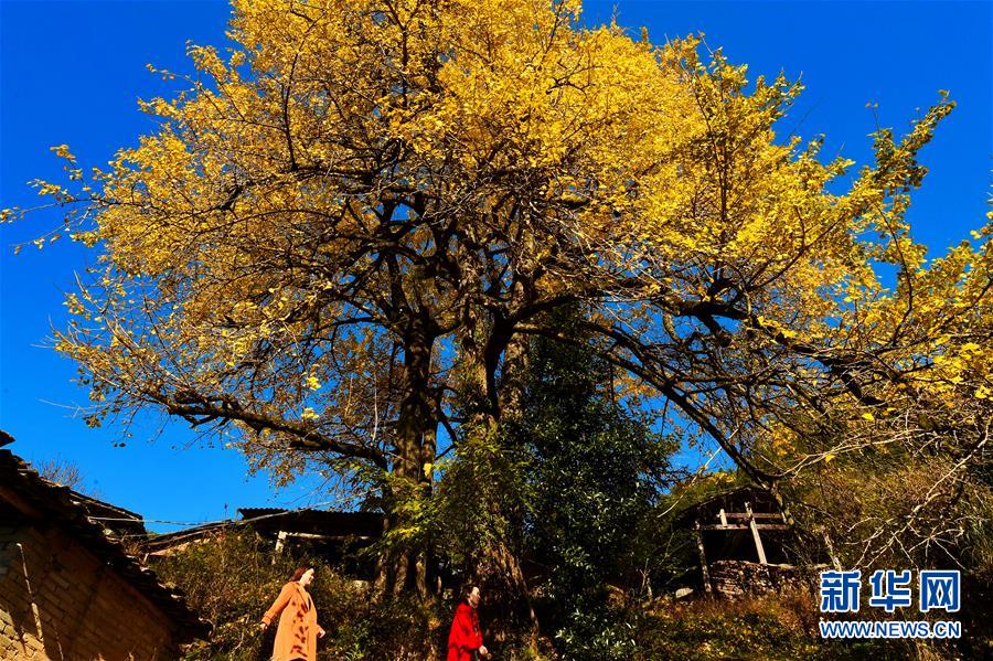 Doctors discovered a new way to treat allergies with fewer side effects