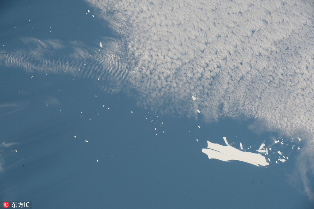 A clothing brand started selling its products online through a new website