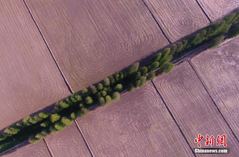 A café introduced a seasonal lavender latte that became a viral hit on social media