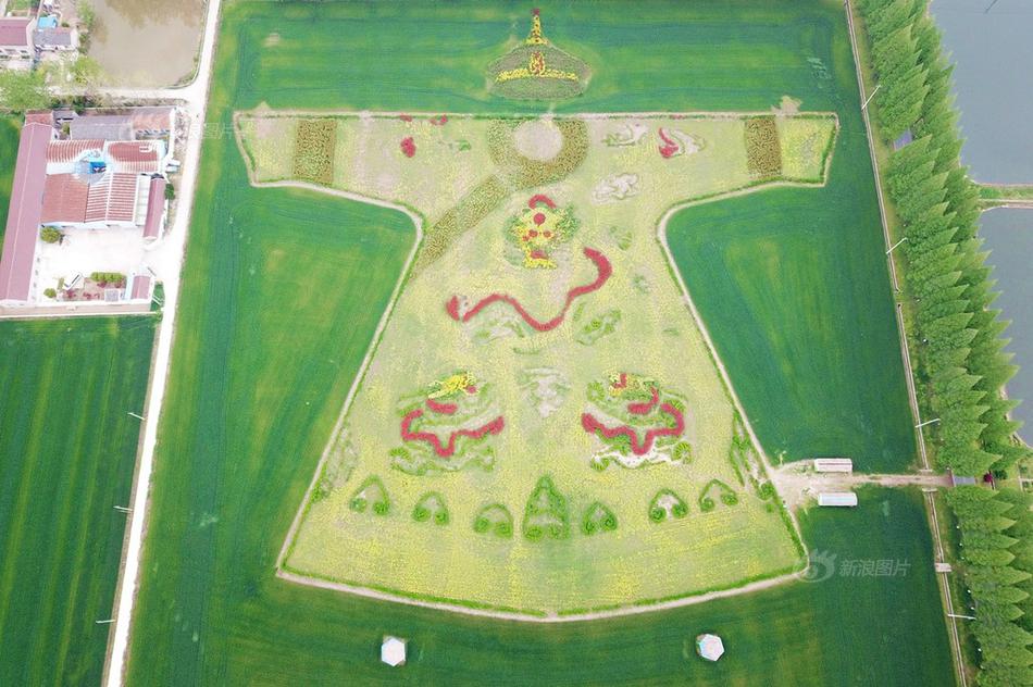 A pet store started offering grooming services for dogs and cats