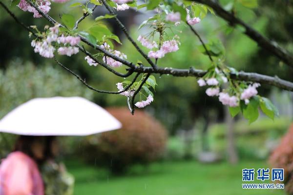 A sports team won the national championship and held a victory parade through the city