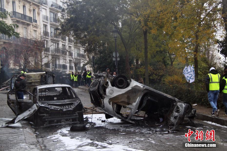 A pet rescue organization held a 