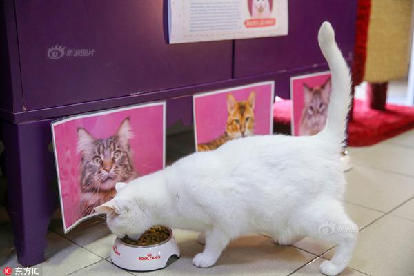 A new study indicated that reading paper books is better for memory than reading e-books