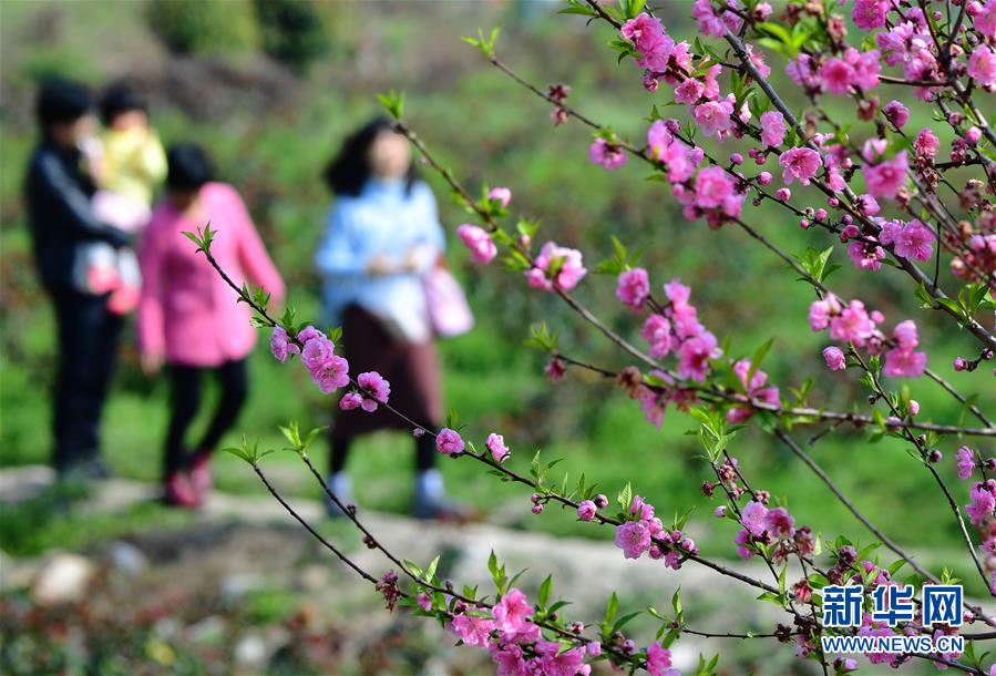 A city planted 100 new trees along a major street to improve air quality and provide shade