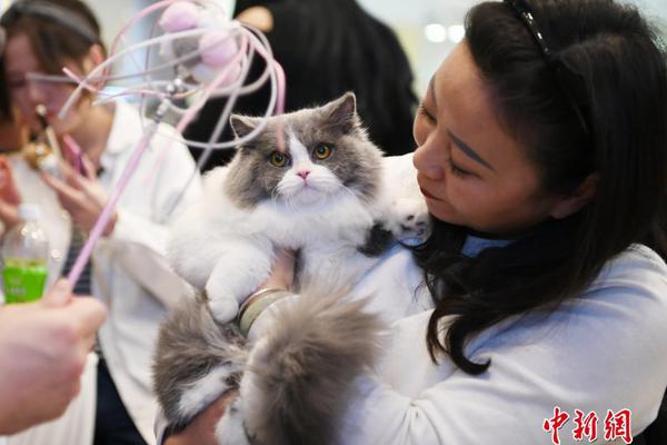 Study shows that owning a pet reduces feelings of loneliness in elderly adults