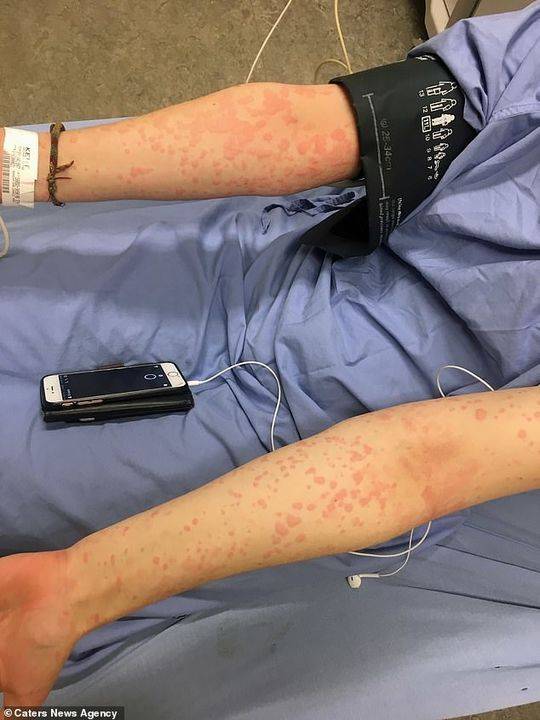 Cross country team sets new school record at state championship meet