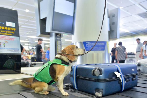 A local high school’s robotics team won second place at an international competition in Tokyo