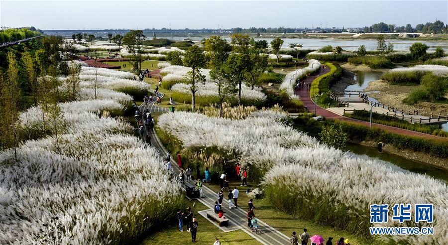 A photographer captured photos of a local parade that were used on the city’s official website