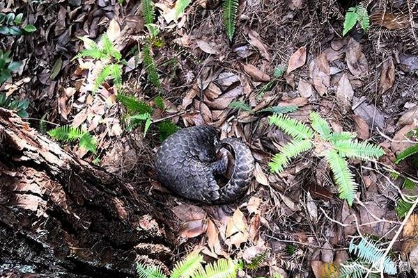A flood in a small town damaged over 120 homes and forced residents to seek shelter
