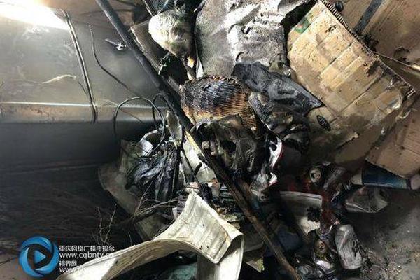 The government released data showing a 4.2% increase in exports during the last quarter