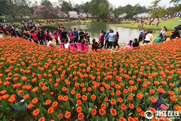 A social media platform rolled out a new feature to help users identify and report fake news