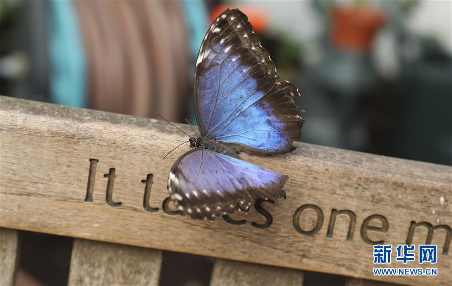 The government passed a law to protect endangered wildlife habitats from industrial development