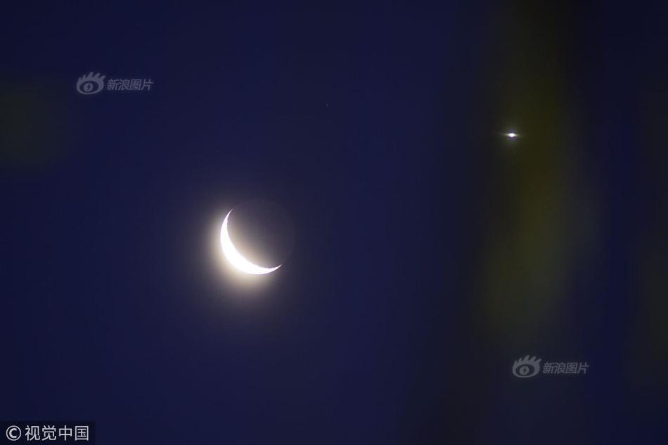 A famous author released their first novel in five years