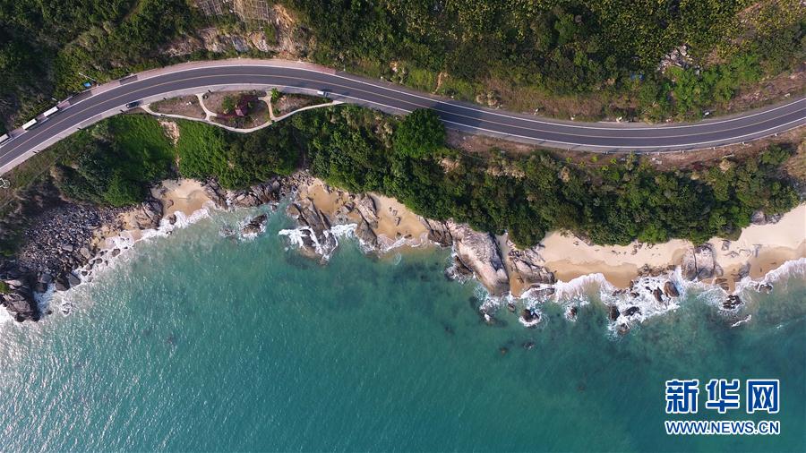 A film director announced plans to adapt a famous novel into a movie