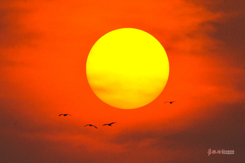 A major airline revealed plans to add 18 new international routes next year to meet growing travel demand