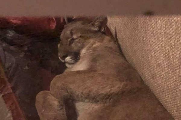 The government provided financial aid to small businesses damaged by recent floods