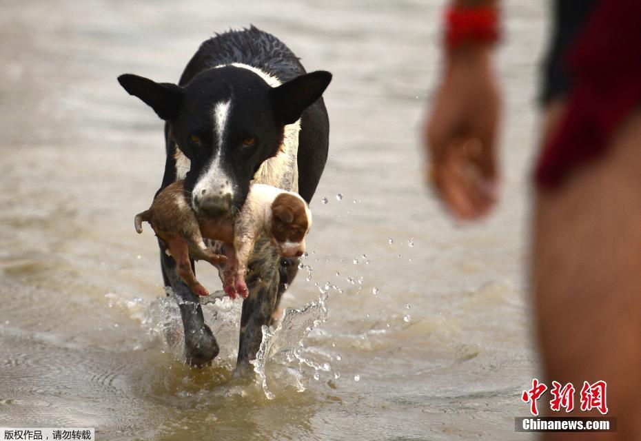 The city council approved plans to build a new skate park in a community park