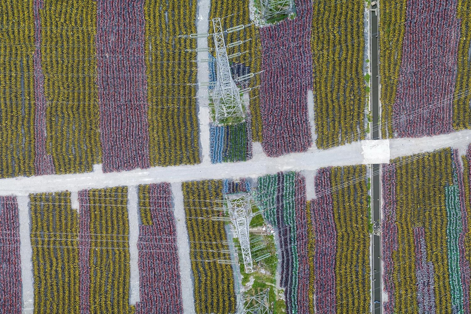 Scientists developed a new test that can detect cancer at an early stage