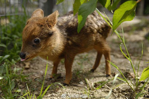 A study showed that drinking one cup of black tea daily can improve blood circulation