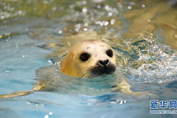 Researchers developed a new vaccine that protects against multiple strains of the flu