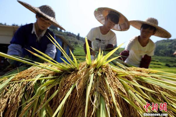A farmers market started a program to help small farmers sell their products