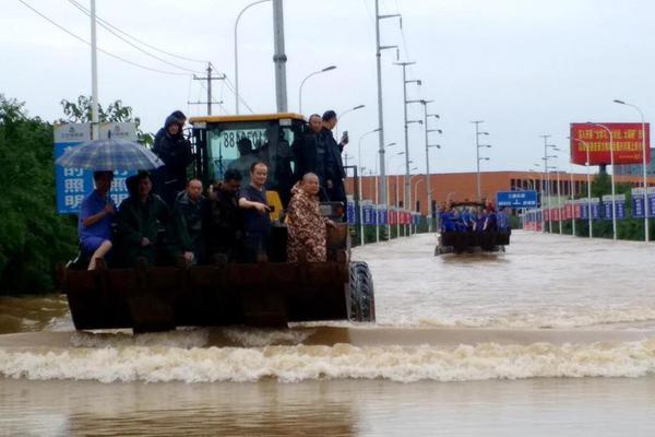 A wildlife sanctuary rescued a rare bird