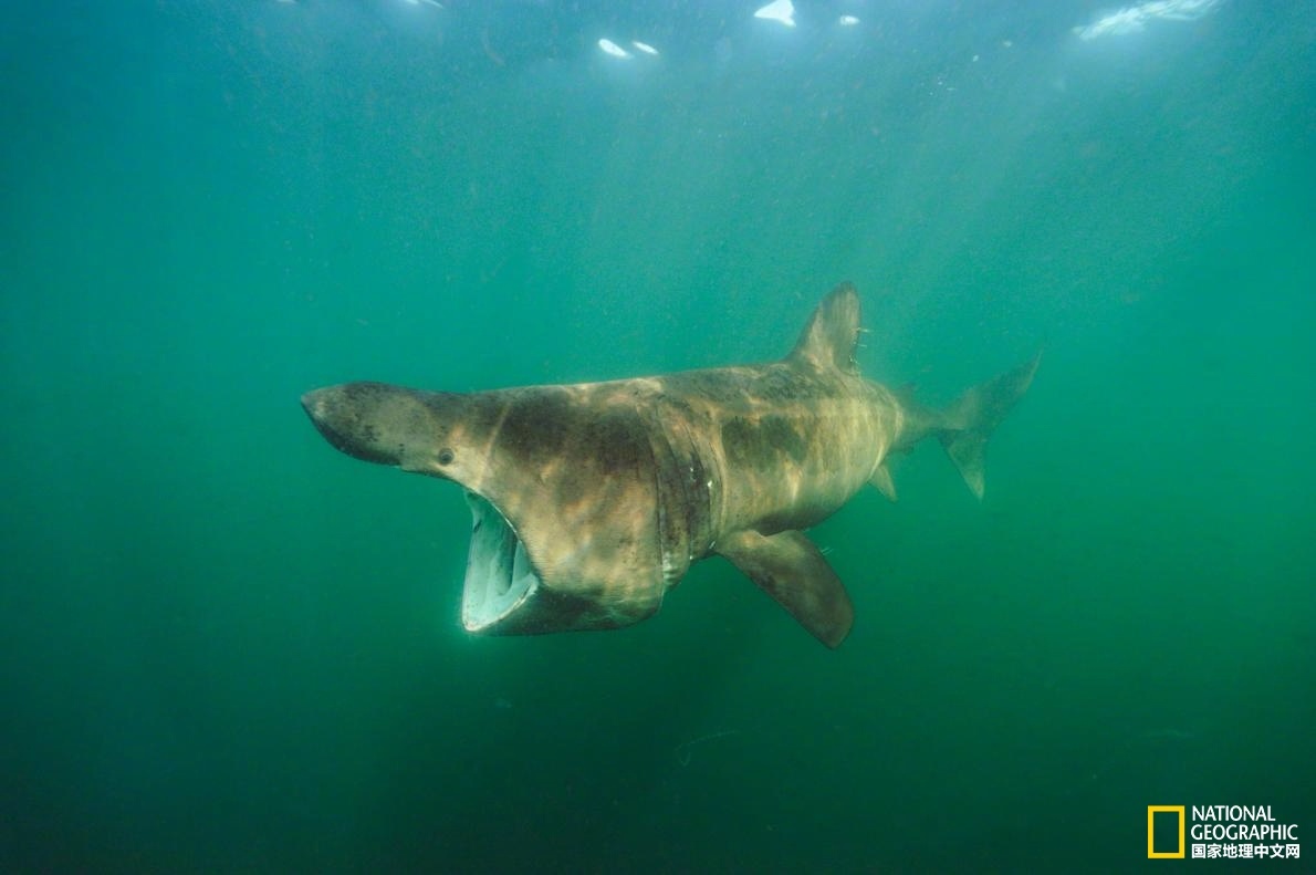 Teachers are using online learning platforms to provide extra resources for students outside class