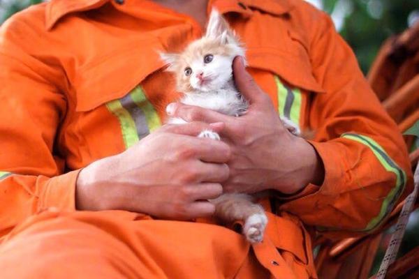 Study finds that reading physical books improves comprehension better than e books