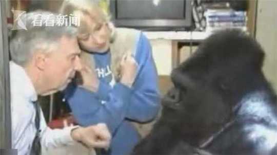 Engineers designed a new bridge that can withstand severe weather conditions