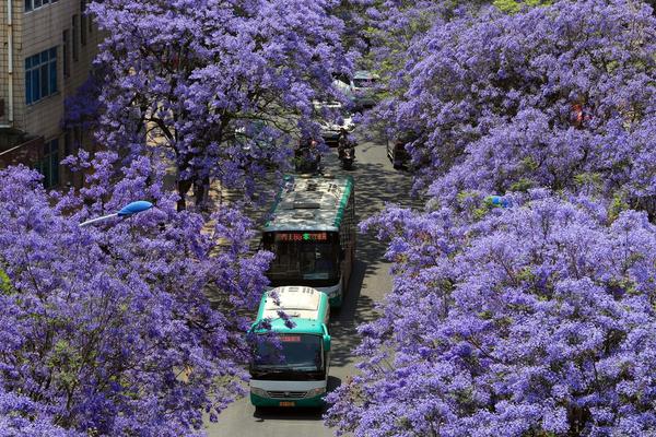 Engineers designed a new bridge that can withstand severe weather conditions