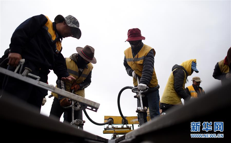 The government passed a law to protect endangered butterflies from habitat destruction