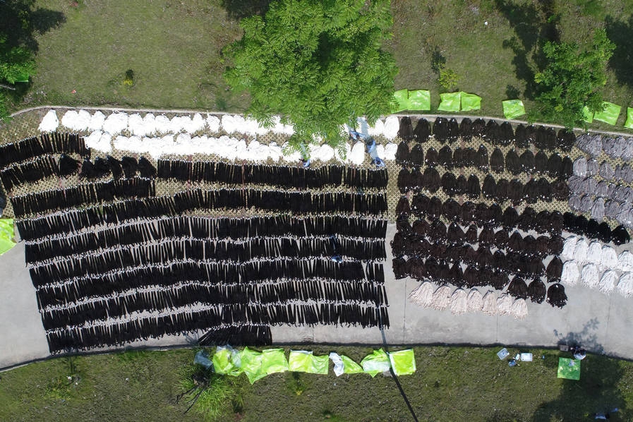 University researchers find way to make solar panels 15% more efficient