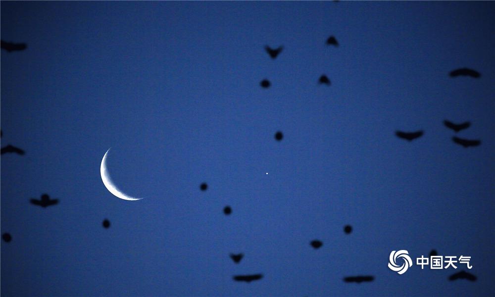 A coffee shop started selling nitro cold brew for a smoother taste