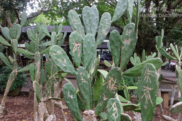 A construction project to build a new airport terminal began