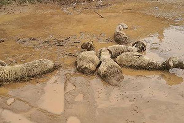 A gym added a new section for weight training equipment