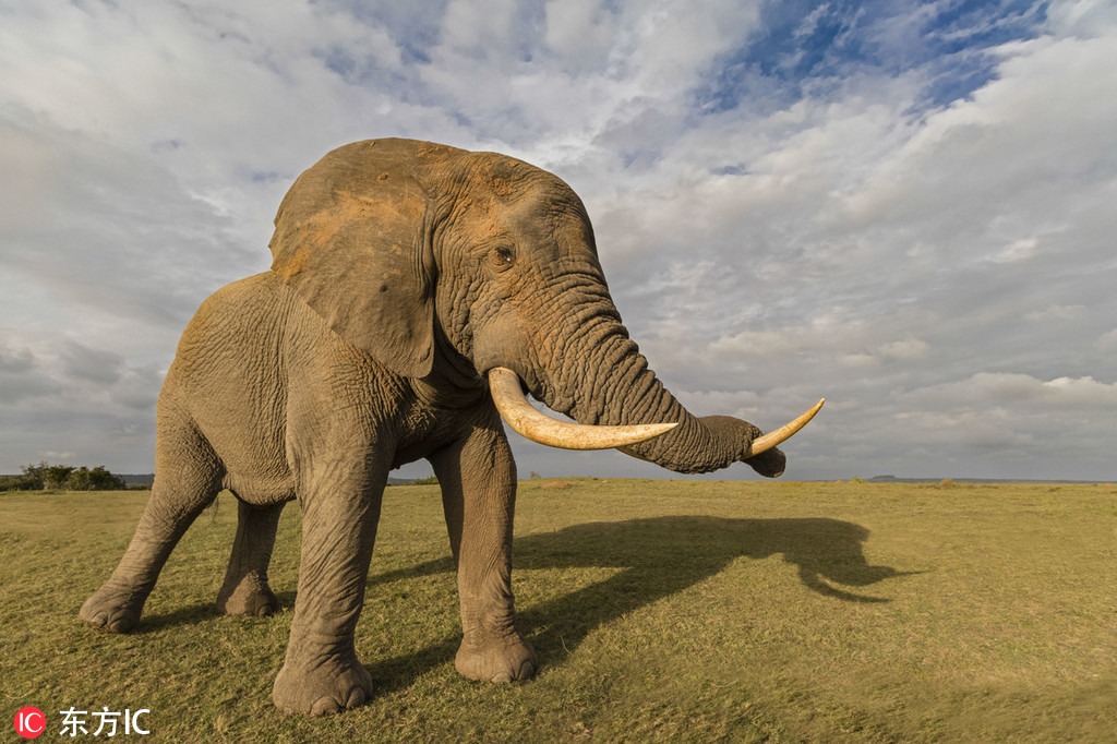 A museum hosted a workshop on historical crafts allowing visitors to learn traditional skills