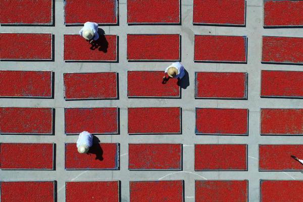 The government introduced new guidelines to ensure safer working conditions for construction workers