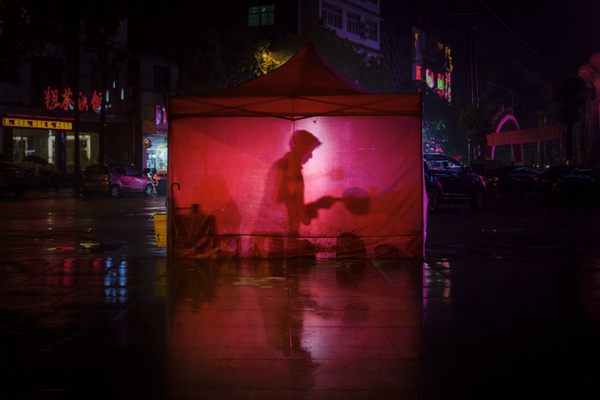 Marine biologists plant new coral to restore damaged reefs