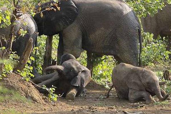 The government built new affordable housing complexes in urban areas with high rent costs