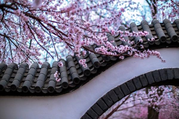 A startup company launched an app that helps users track their daily calorie intake and exercise