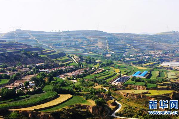 A small business owner expanded their online store to include international shipping