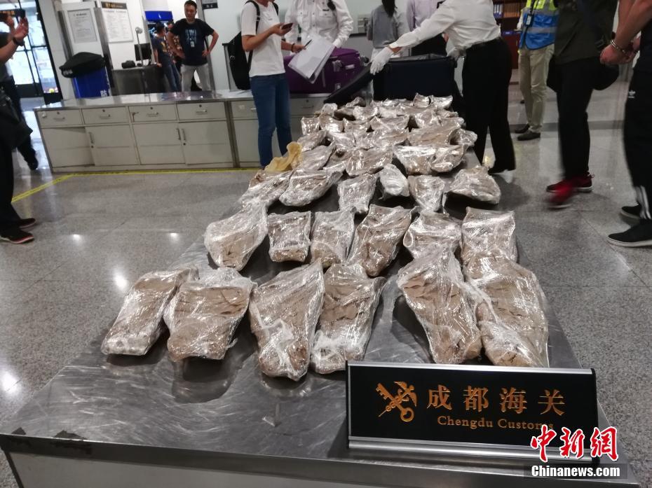 Education ministers from across the region agreed to implement a unified curriculum for primary and secondary schools